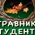 Травник Студент и бизнесмен Книга 7 Константин Назимов Аудиокнига