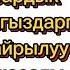 Камчыбек Көлбаев уулу бардык кыргыздарга кайрылуу жасады02 03 2024