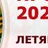 АСТРОПРОГНОЗ 2025 Прогноз по фэн шуй и Ци Мэнь Дунь Цзя на 2025