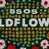 5 Seconds Of Summer Wildflower Lyric Video