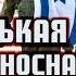 Маленькая победоносная война Подводим итоги операции Рассвет СПЕЦЭФИР 8 августа