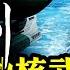 美降低率先使用核武門檻 中共導彈部隊從基地到混於市區的軍工基地坐標被美國公開 暗示精準打擊 慫了還是瘋了 習近平突向美釋善意 駐英公使辱英與流亡港人是農夫與蛇 江峰漫談20221028第570期