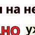 НЕМЕЦКИЙ ЯЗЫК ВСЕ 100 БАЗОВЫХ ФРАЗ ДЛЯ НАЧИНАЮЩИХ НЕМЕЦКИЙ НА СЛУХ УЧИСЬ ГОВОРИТЬ С НУЛЯ НА НЕМЕЦКОМ