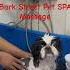 Bark Street Pet SPA Doggie Massage And Pamper Treatment