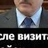 Лукашенко Корова не такая глупая как некоторые кто там работает Президент после визита в Шклов