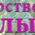 Полынь горькая лекарственная в природе Как отличить полынь