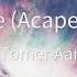 Tomer Aaron Cosmic Gate Acapella 128bpm AUDIO