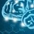 What Is Dopamine Dr Berg