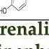 Adrenaline Epinephrine Uses Antidote Effects Mechanism Indications And ADR S