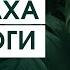 Практика для преодоления чувства страха и осознания себя