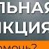 Эректильная дисфункция у мужчин где искать причину Как лечить