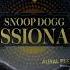 Snoop Dogg Now Or Never Ft Dr Dre And BJ The Chicago Kid Official Audio