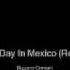 One Day In Mexico Remix Bizzare Contact