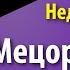 1 часть Тазриа Мецора Недельная глава Торы и актуалия Рав Бенцион Зильбер