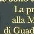 Non Sono Qui Forse Io Che Sono Tua Madre Preghiera Alla Madonna Di Guadalupe Dalle Immense Grazie