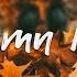 Autumn Mood Songs Make You Feel Better Mood In Autumn Best Indie Pop Folk Acoustic Playlist