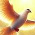 Holy Spirit Removes All Evil Around Heals Emotions Heart Heals All Physical Spiritual Damage