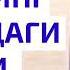 161 Савол Зинодан туғилган валади зинонинг исломдаги ўрни қанақа Абдуллоҳ Зуфар Ҳафизаҳуллоҳ