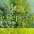 Во поле берёза стояла караоке для детей