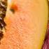 What Happens When You Start Eating Papaya Every Day