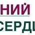 Магний Чем полезен для здоровья Сердце Нервы Сахар крови Врач эндокринолог диетолог Ольга Павлова