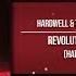 Revolution Vs Adagio For Strings Hardwell UMF 2023 Mashup David Nam Remake