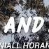 Niall Horan Black And White Stripped Lyrics