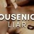 Housenick Liar