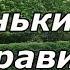 Ландшафтный дизайн Ландшафтный дизайн маленького сада Видеоурок