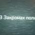 Надо ехать в Кострому смешарики кострома россия феликс