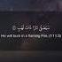 111 Surah Al Masad By Mishary Al Afasy