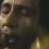 Bob Marley Wake Up And Live Live At Amandla Festival Of Unity 1979