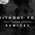 Avicii Without You Ft Sandro Cavazza Demo