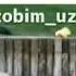 MUSOFIRDA YURGANLARNI OZIN ASRAGIN