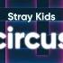 Stray Kids Circus Lyrics English Translation