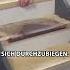 Warum Knarrt Meine Alte Treppe Renovieren Handwerk Diywoodworking Treppen Wood Renovation