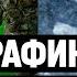 Графика в кино которую вы не заметили лучшие спецэффекты