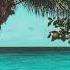 FREE Tropical Summer X Dancehall Type Beat Coast Free To Use Beats 2021