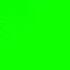 футаж паук на Green Screen