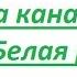 Хакеры разломали канал Белая рысь