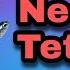 Fish File The Neon Tetra