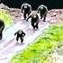 3 MINS AGO Bigfoot Encounter In Santa Fe Texas The Media Doesn T Want You To Know