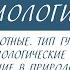 7 класс Биология Многоклеточные животные Тип губки Среда обитания образ жизни Особенности