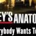 Grey S Anatomy Music Season 10x20 Aron Wright Everybody Wants To Rule The World