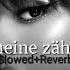 AYLIVA Scheine Zählen Slowed Reverb Lyrics