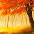 Autumn Collection Of The BEST Melodies That Will Give You Goosebumps