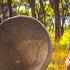 Ancient Vibes Native Flute Shamanic Drums In A Sacred Forest