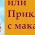 гл 5 Путь Кассандры или Приключения с макаронами Юлия Вознесенская аудиокнига