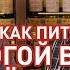 Как пить дорогой алкоголь ДЁШЕВО Дегустация виски