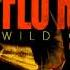 Flo Rida Wild Ones Ft Sia Official Instrumental